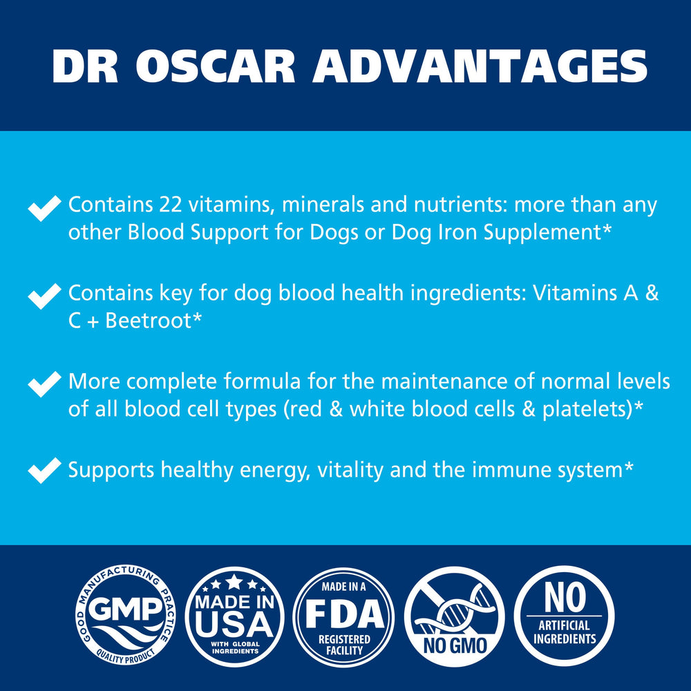 Dr. Oscar Blood Aid for Dogs being fed, convenient daily dose for ongoing energy support.