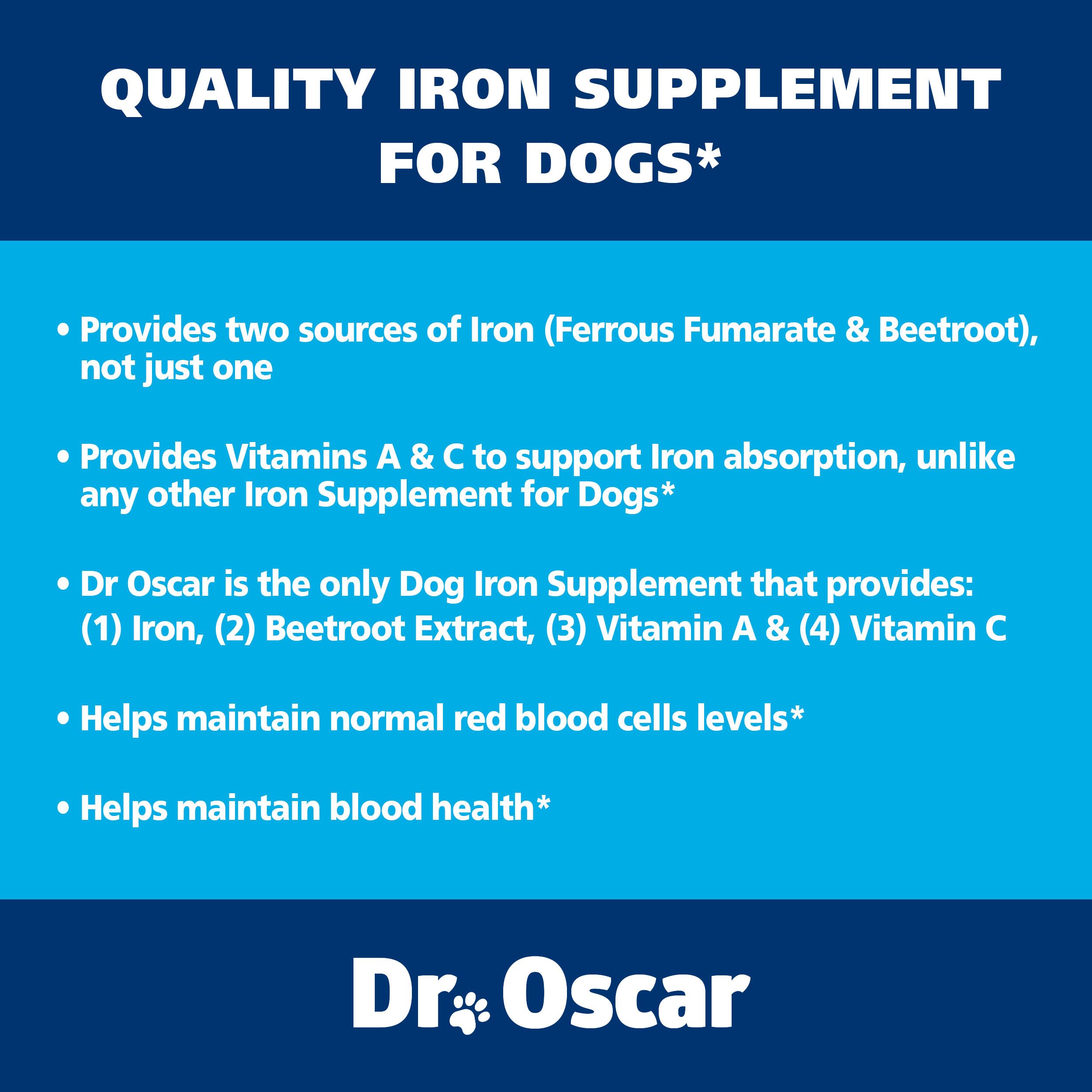 Dr. Oscar Blood Aid for Dogs concept of energy and vitality through iron-rich formula.
