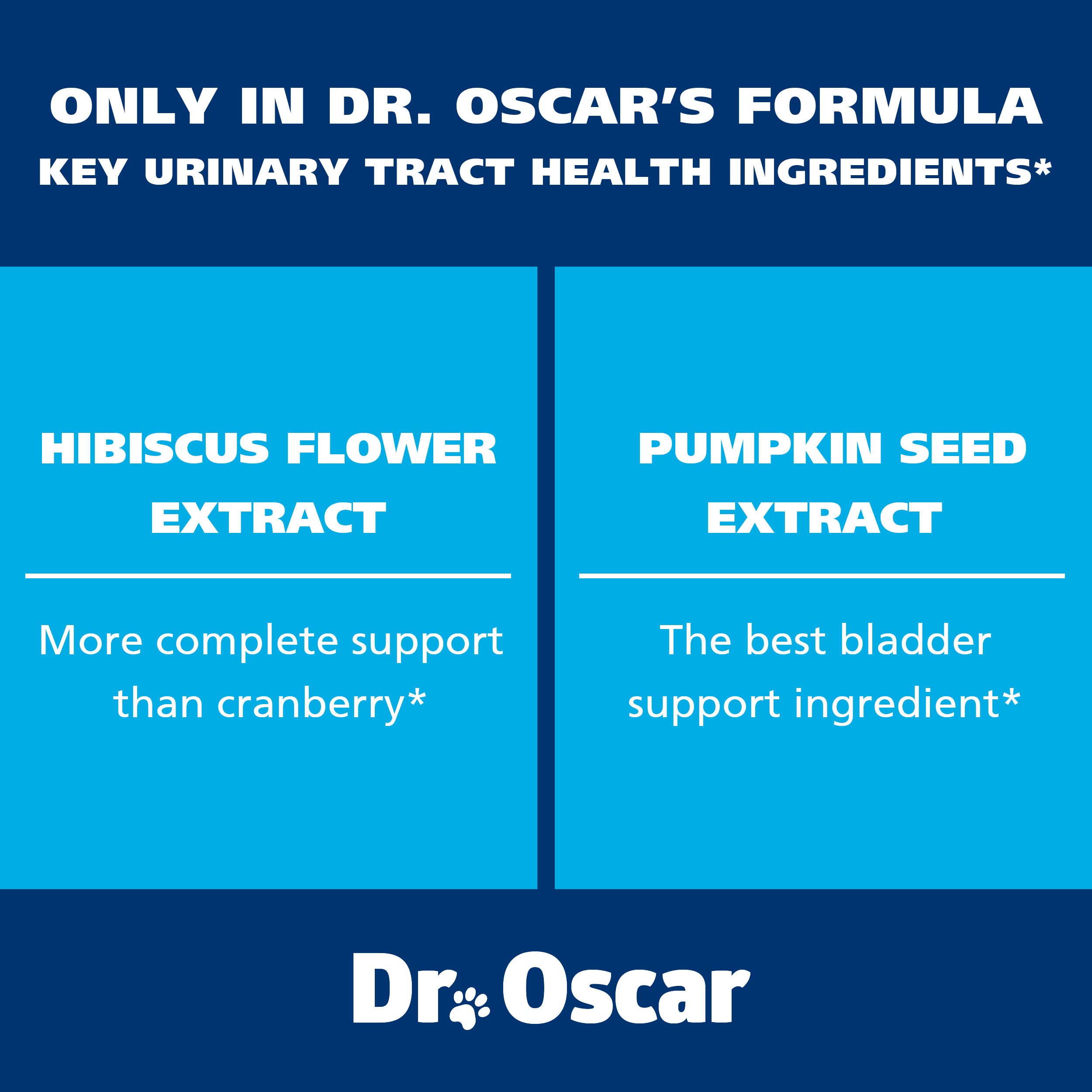 Dr. Oscar Dog UTI ingredients layout highlights 7 active ingredients for comprehensive urinary support.