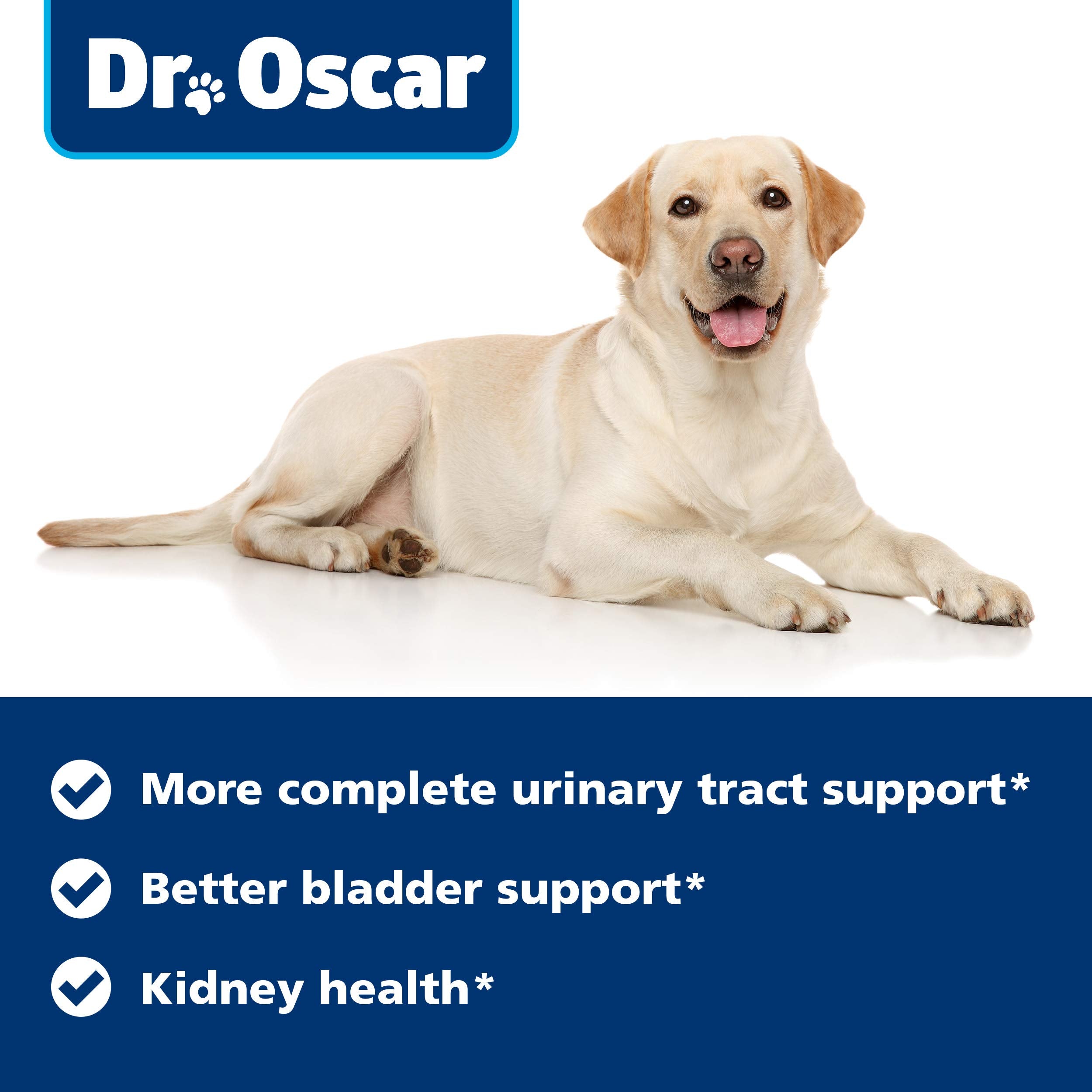 Dr. Oscar Dog UTI packaging image communicates high-quality non-GMO ingredients for trust.