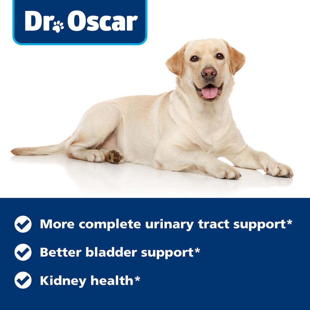 Dr. Oscar Dog UTI packaging image communicates high-quality non-GMO ingredients for trust.