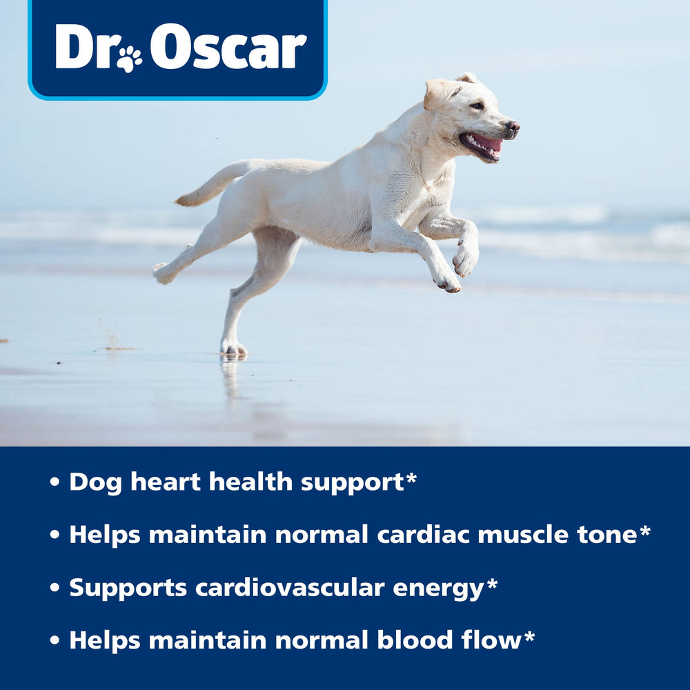 Dr. Oscar Taurine manufacturing badge indicating CGMP and FDA-registered facility