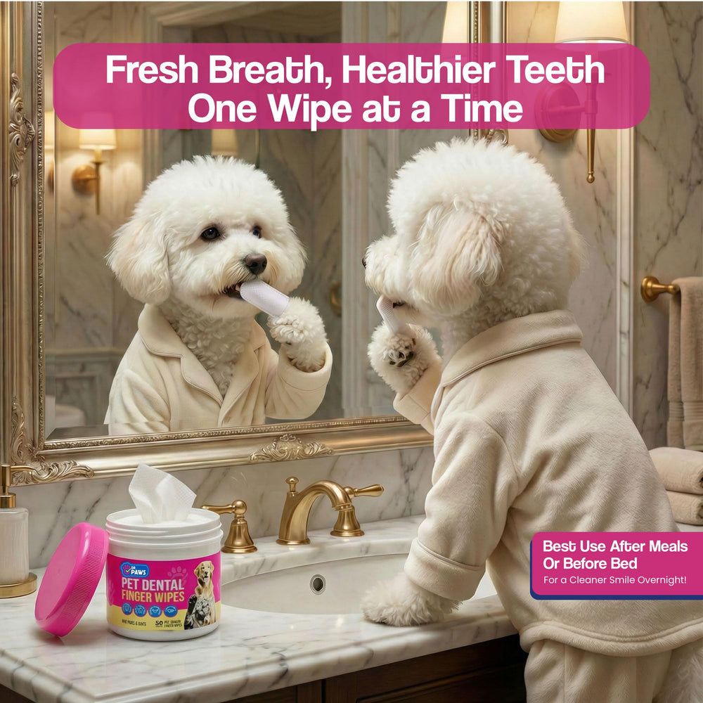 Dr. Paws Choice: aliento fresco tras usar las toallitas dentales.