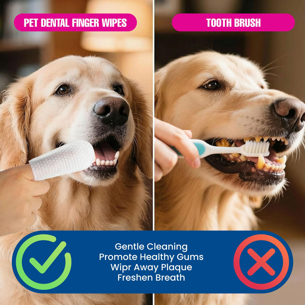 Dr. Paws Choice: dedo limpiador dental, uso cómodo para higiene bucal.