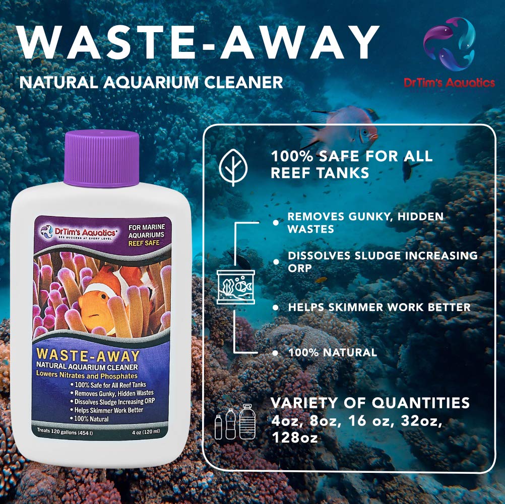 DrTim's Waste-Away Reef display demonstrates clearer aquarium results through routine maintenance