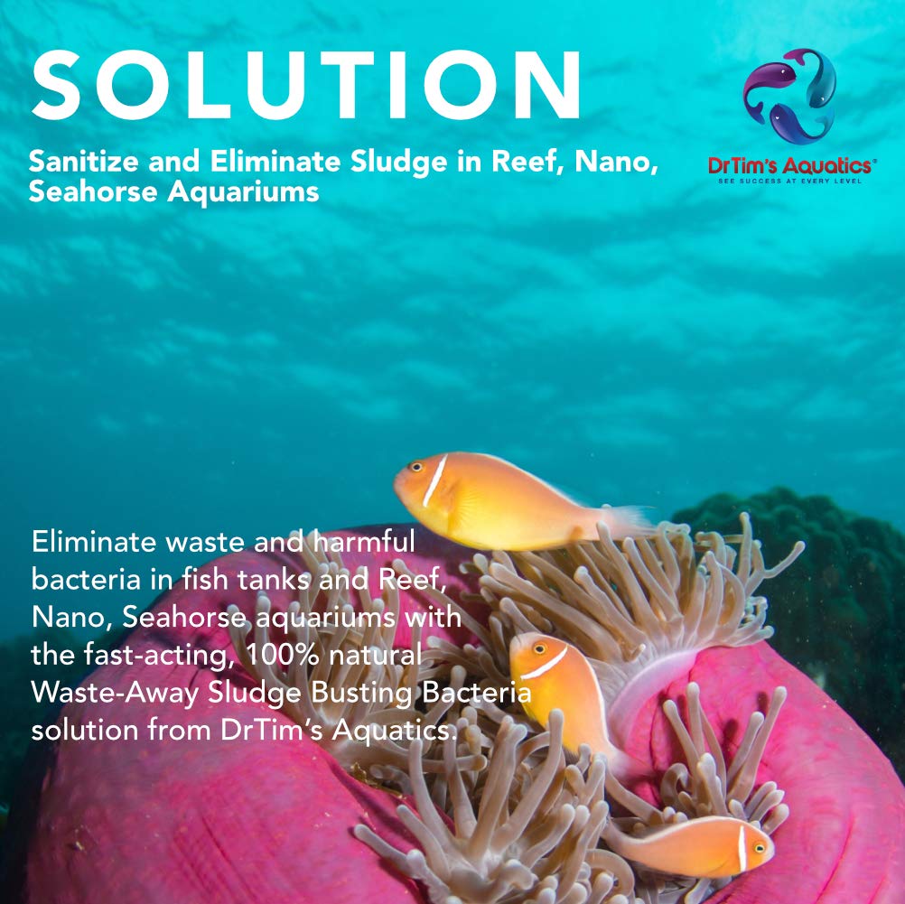 DrTim's Aquatics Waste-Away Reef dosing-guide image illustrates simple use for maintenance