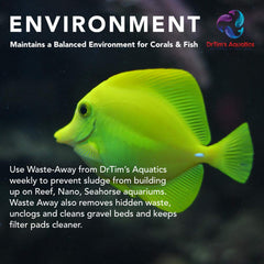 Waste-Away Reef tank-flow close-up highlights improved pathways and clearer flow