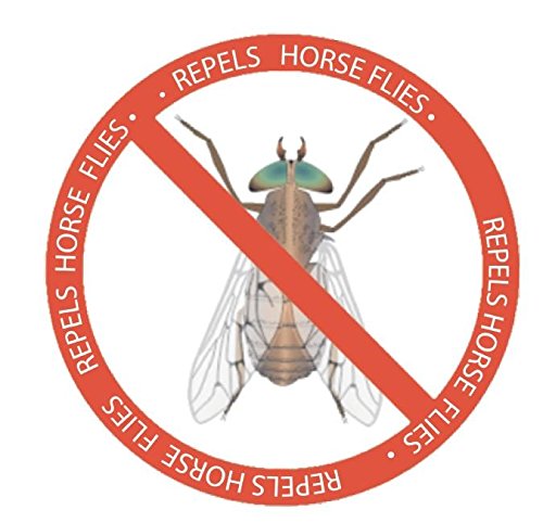 Dragonfly Wingman natural-materials construction supports wildlife-friendly deterrence.