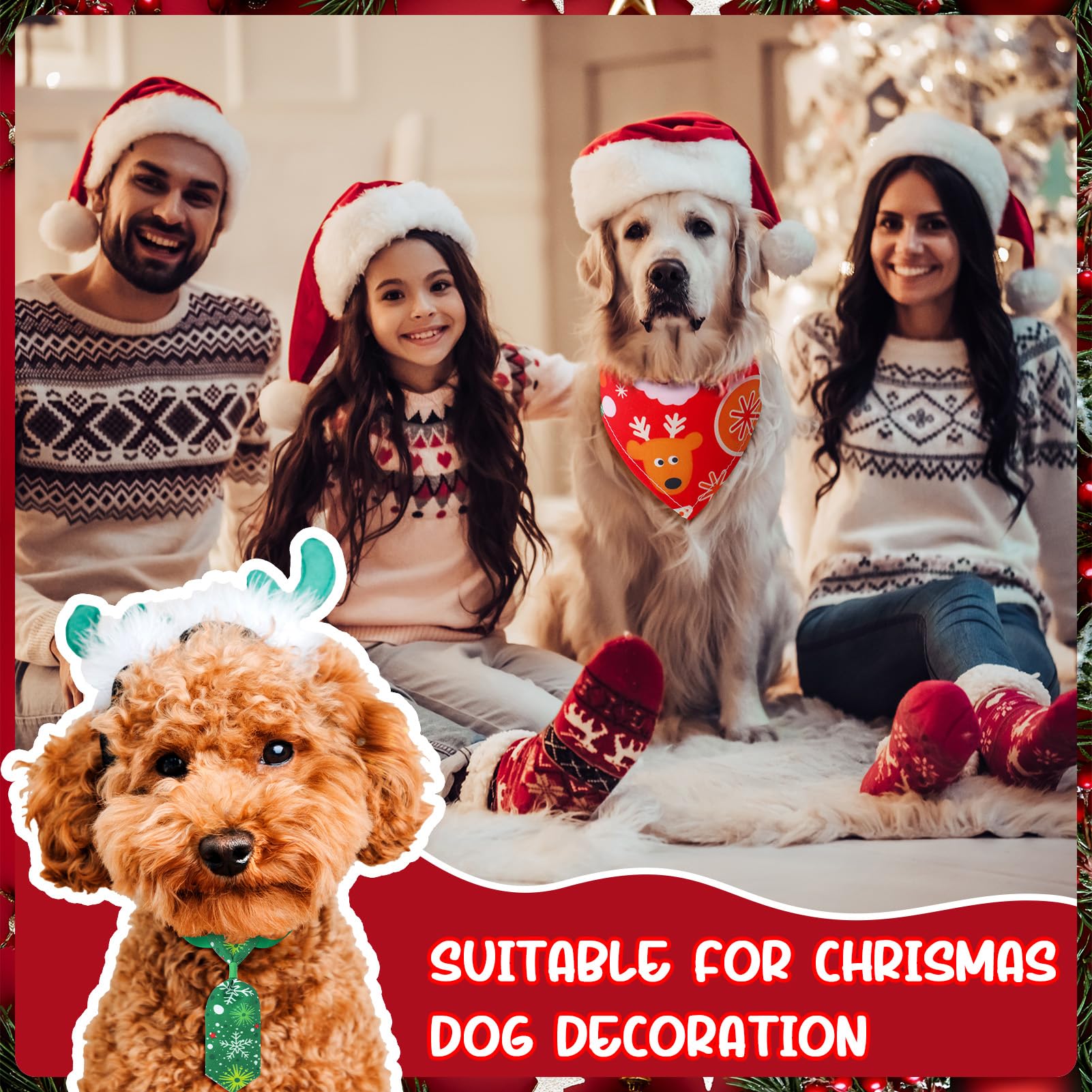 DragonflyDreams Christmas bow tie setup for dapper pet look