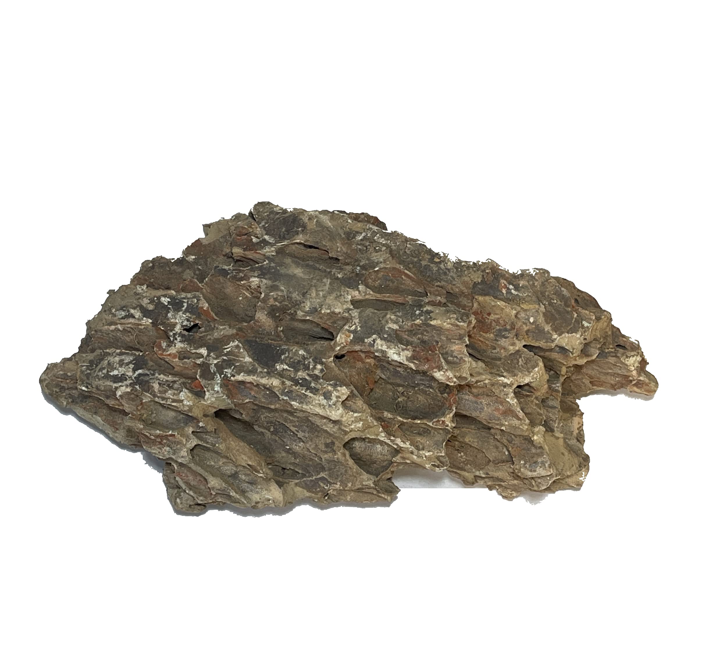 Dragonstone rocks collection-02 supports creative substrate layouts for tanks.