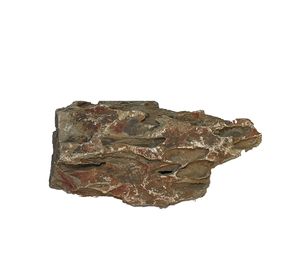 Dragonstone rocks collection-03 larger pieces provide structure for plants.