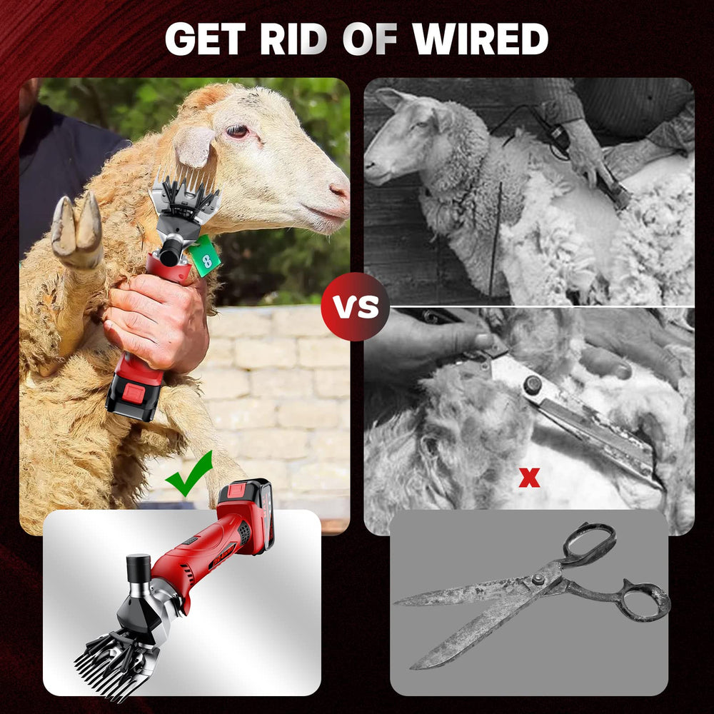 Dragro sheep shears in use on a sheep demonstrates efficient cordless grooming.