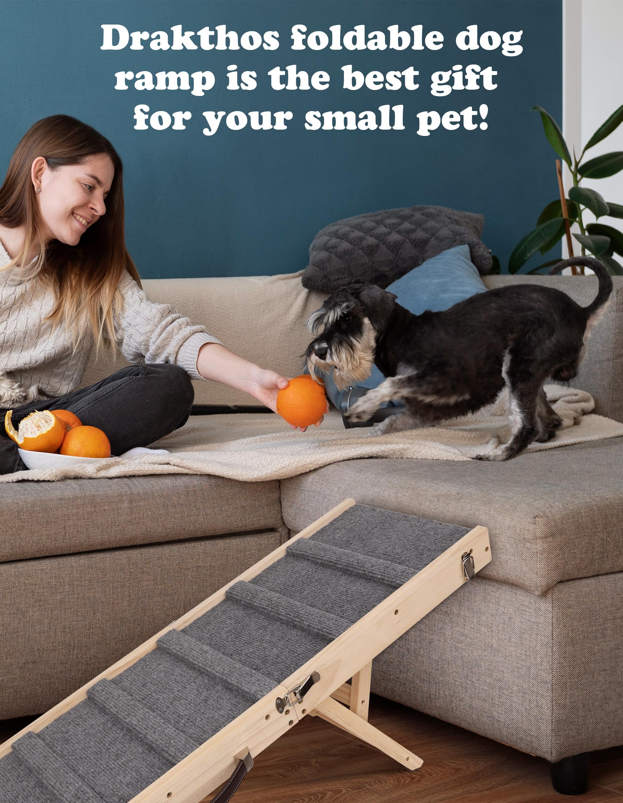 Drakthos dog ramp carry-handle design allows effortless transport.