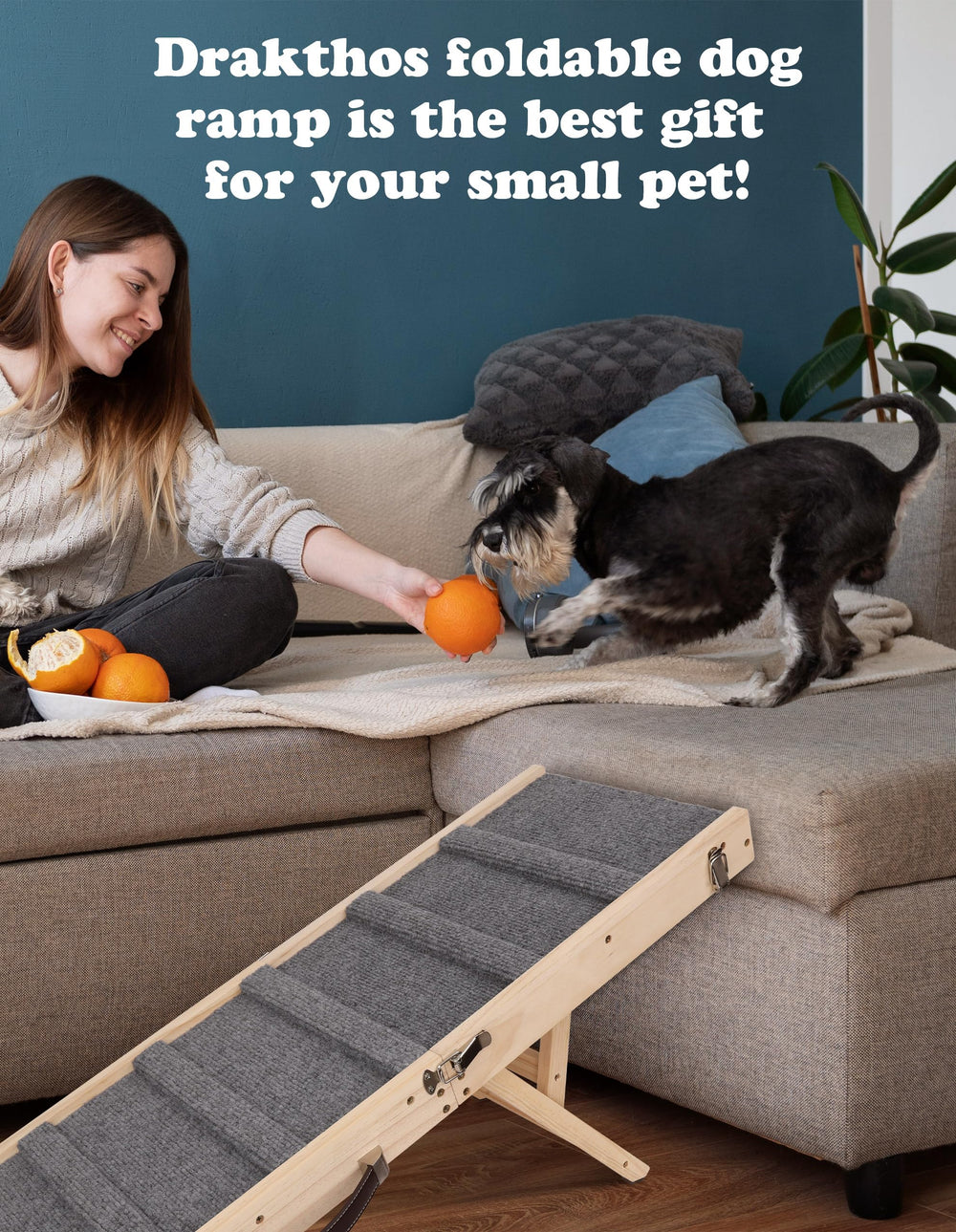 Drakthos dog ramp carry-handle design allows effortless transport.