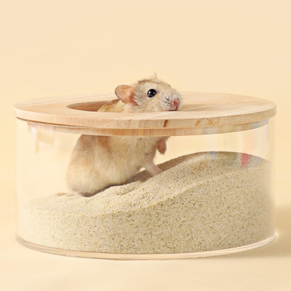 DR.DUDU hamster bath sand dust-free area setup for convenient grooming sessions
