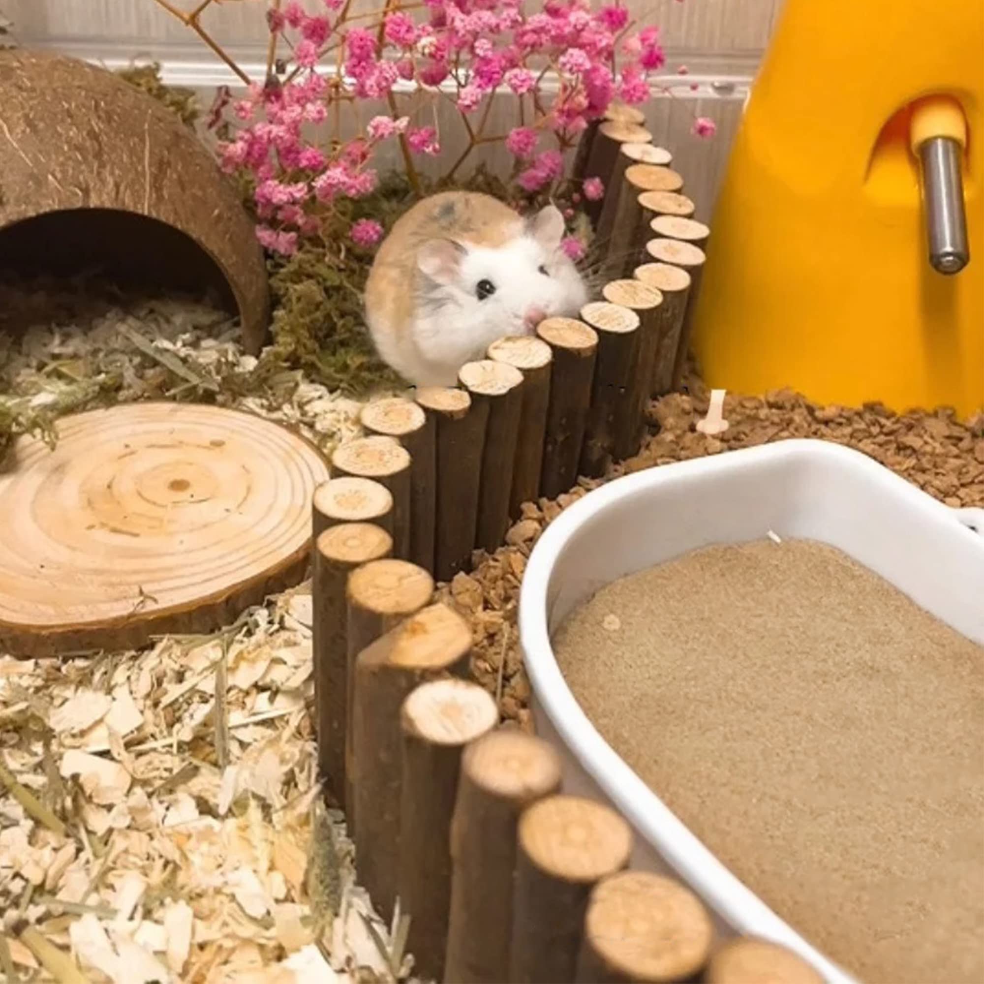 DR.DUDU hamster bath sand habitat-digging-fun demonstrates natural digging behaviors in cages.
