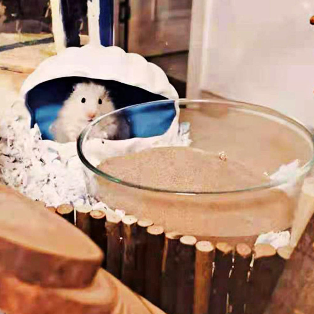 DR.DUDU hamster bath sand in-use area showing cleanliness and odor control