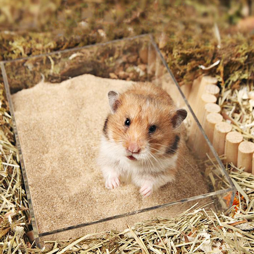 DR.DUDU hamster bath sand packaging resealable bag keeps sand fresh