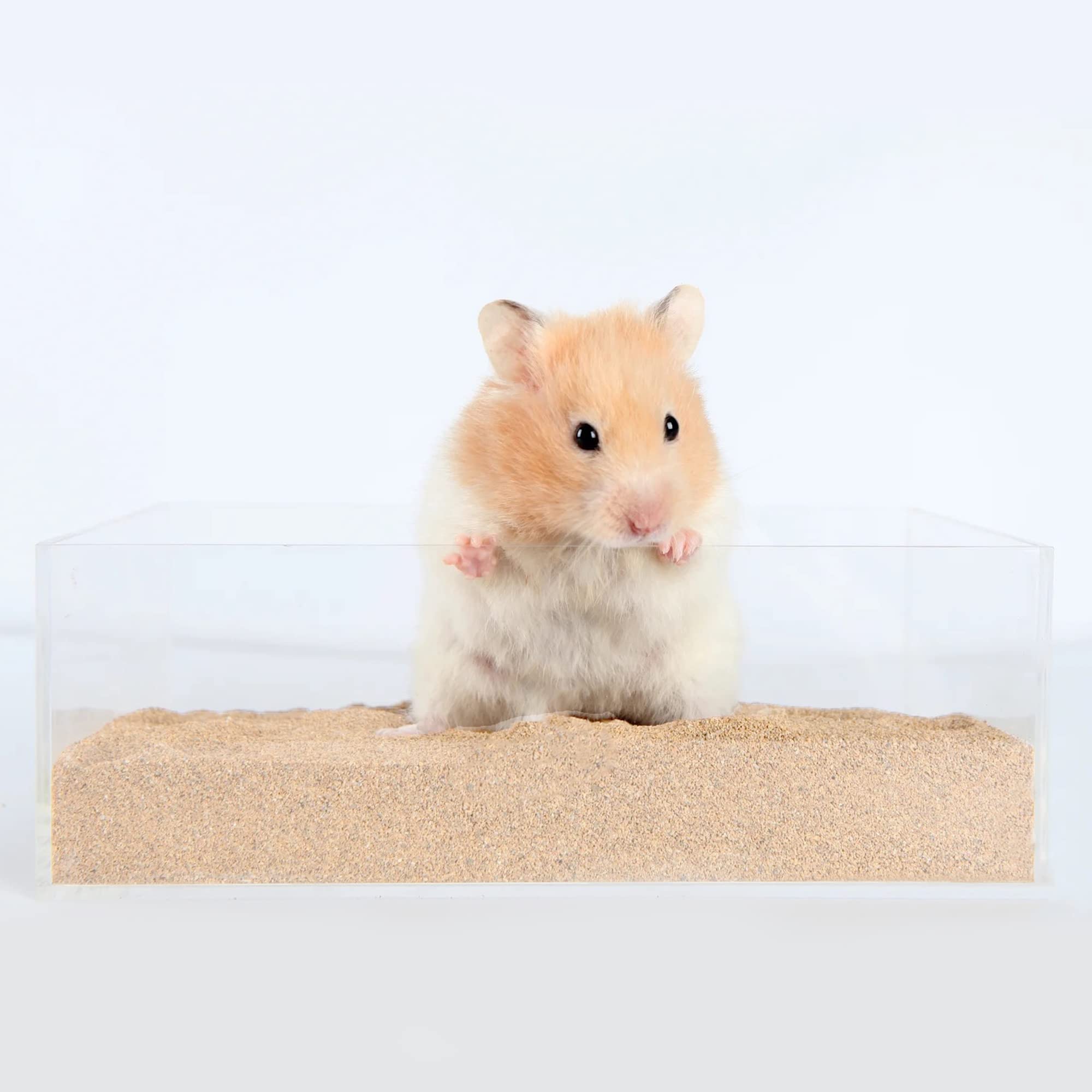 DR.DUDU hamster bath sand small-pets-setup shows versatile use for hamsters, gerbils, and mice.