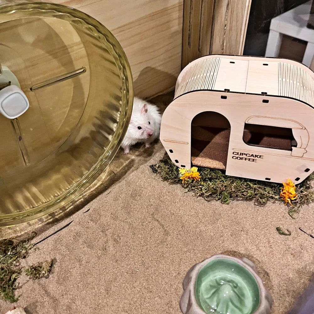 DR.DUDU hamster bath sand small pets versatility for multiple species