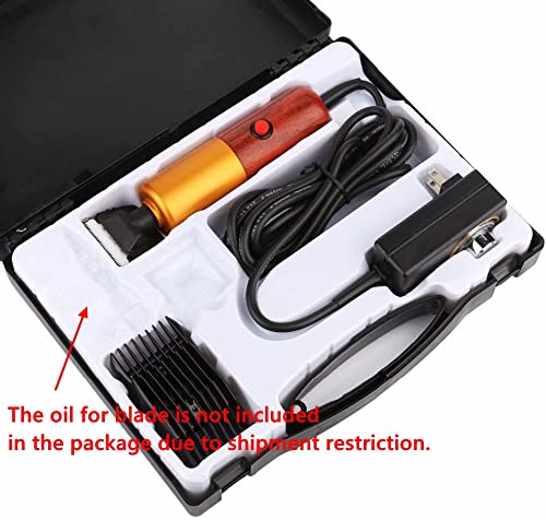 Dream Reach A-200W copper motor offers durable performance for longer sessions