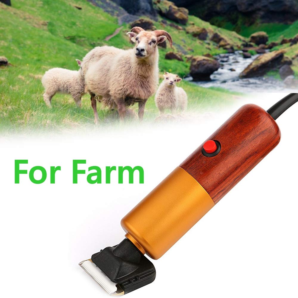 Dream Reach A-200W stepless speed control supports customized grooming sessions
