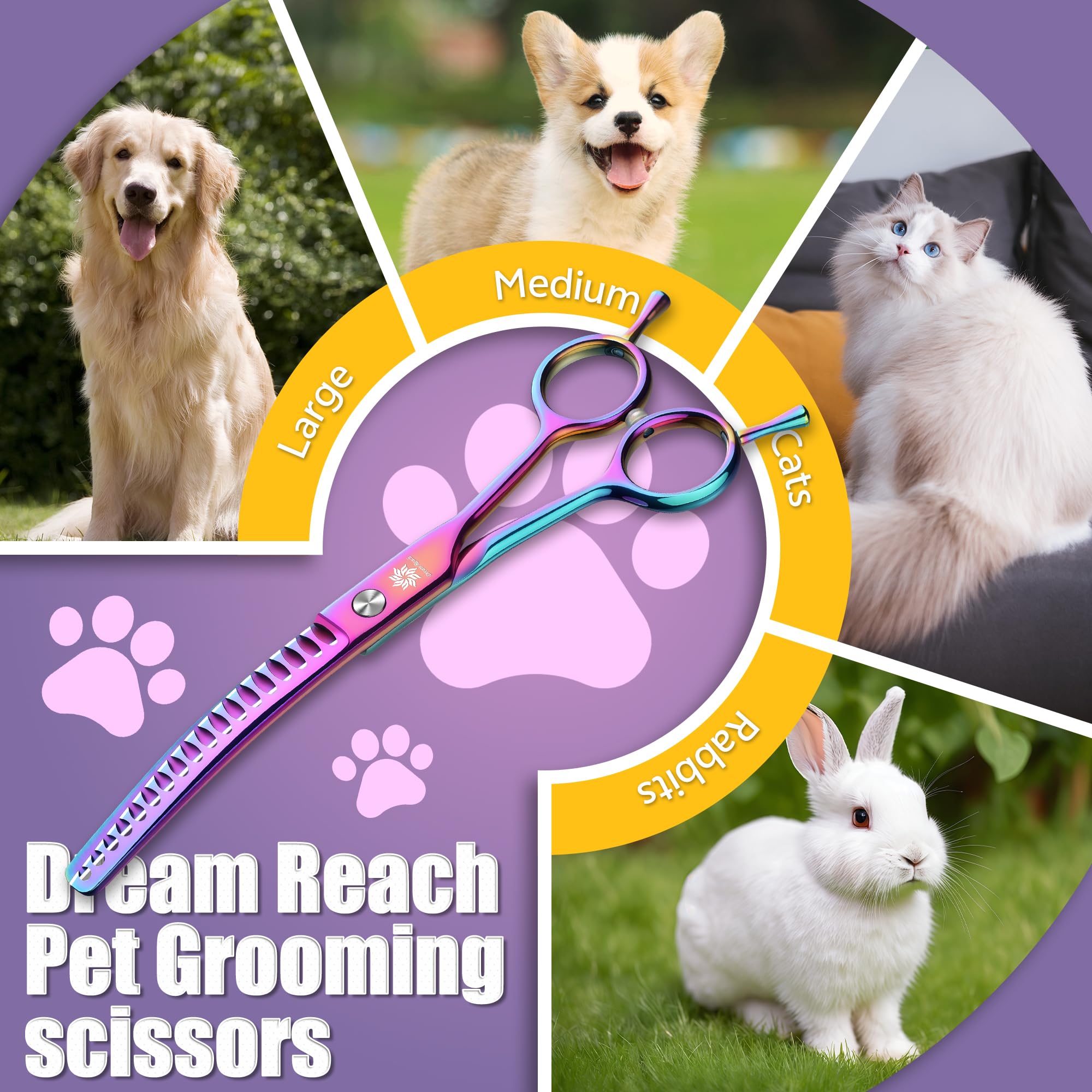 Dream Reach chunker shear rainbow colorway for pet grooming enthusiasts.