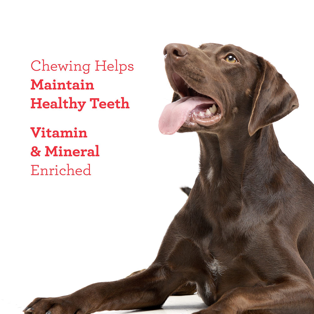 DreamBone Twist Sticks rawhide-free-label highlights safe alternative to rawhide chews