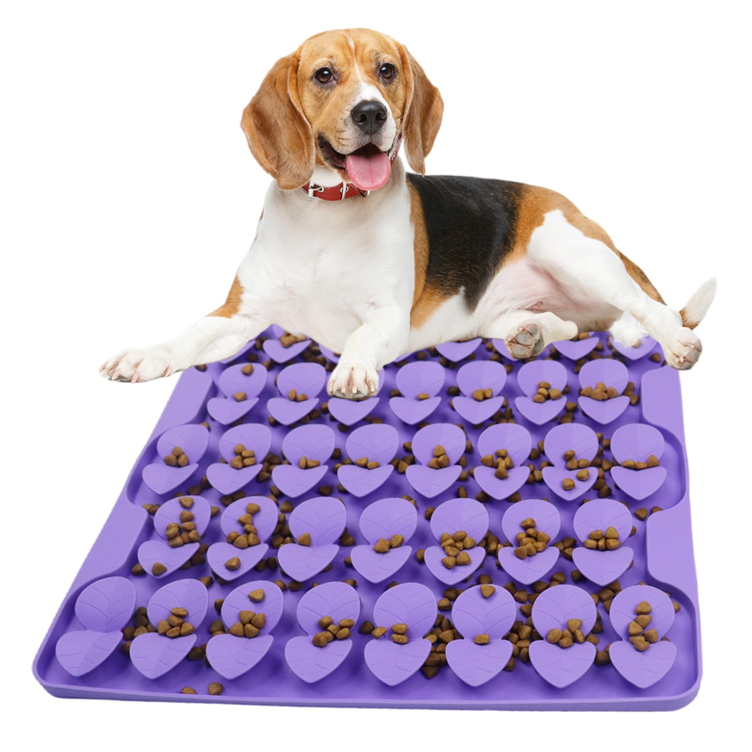 Drescu compatible with dry or wet food for flexible treat sessions