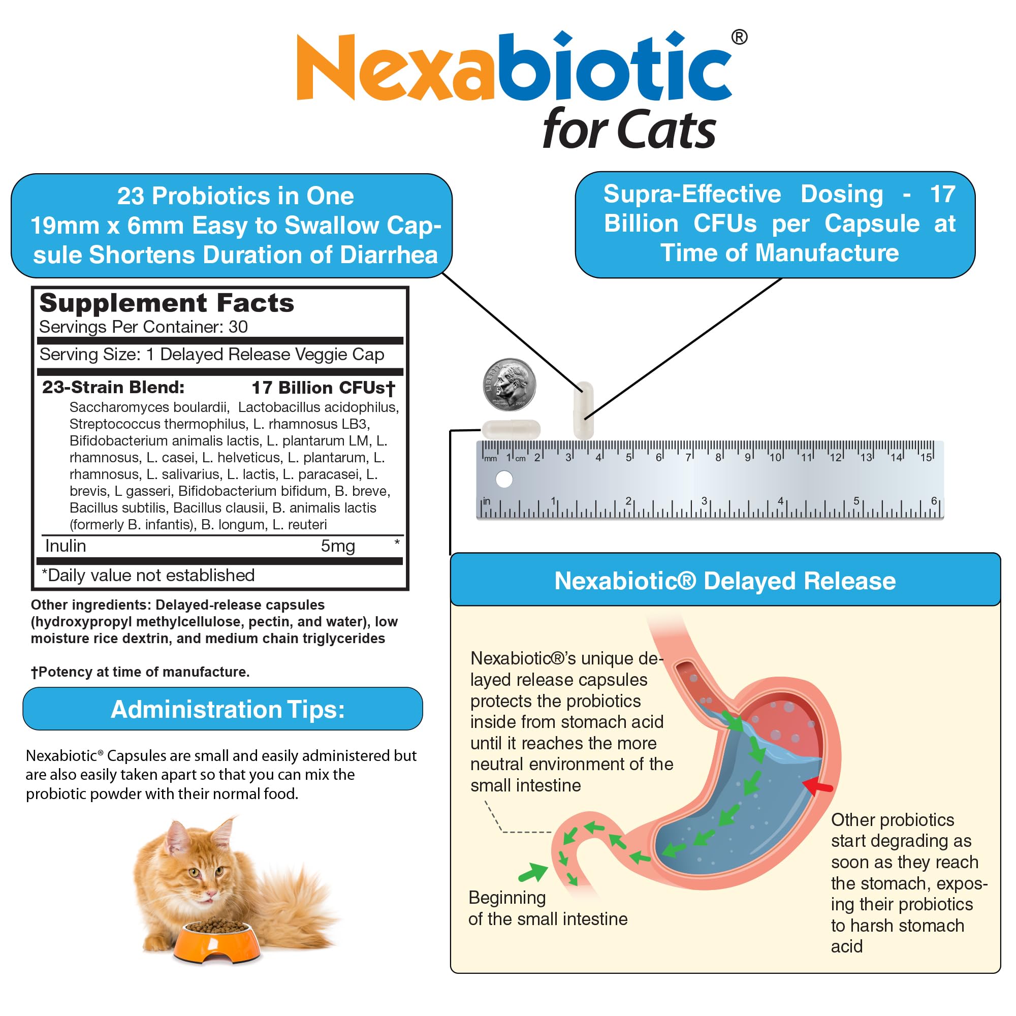DrFormulas Nexabiotic illustration showing probiotic blend for digestive balance