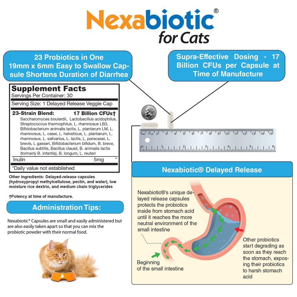 DrFormulas Nexabiotic illustration showing probiotic blend for digestive balance