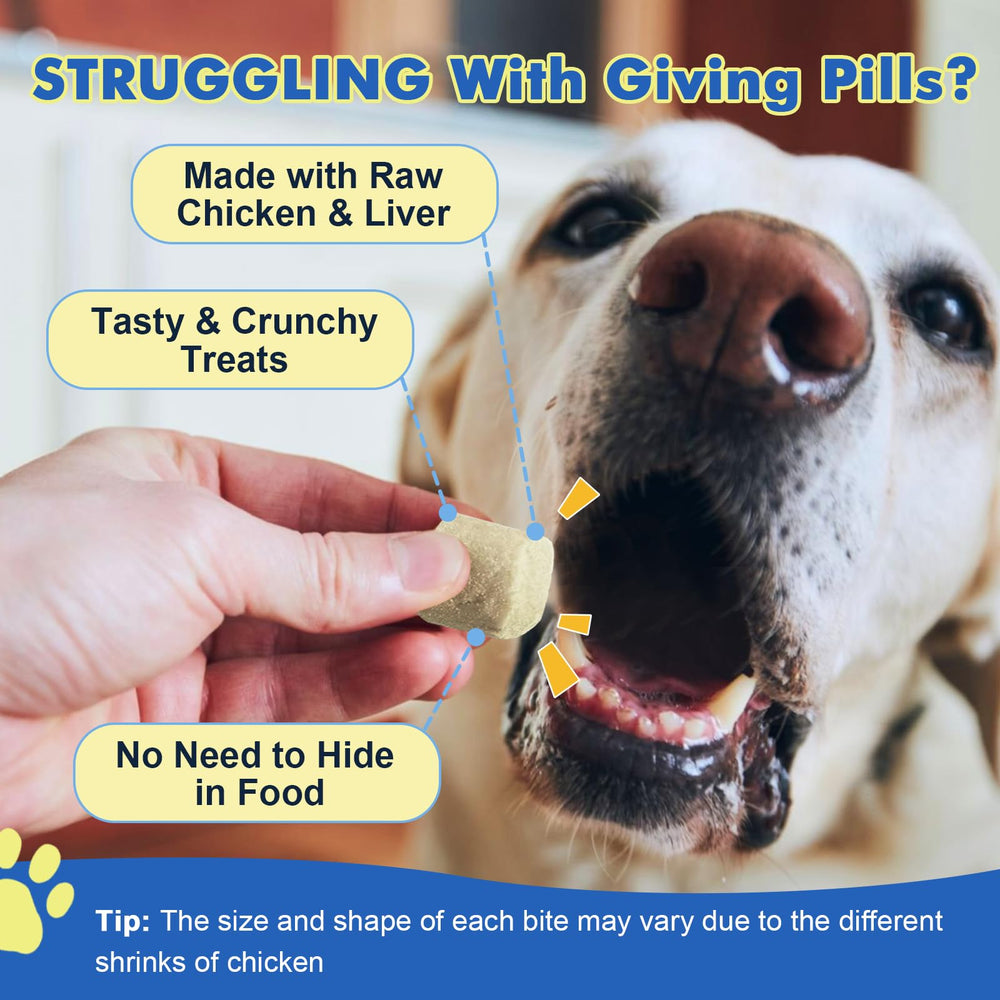 DRFOSTER Dog Allergy Relief Chews hot spot relief depiction indicates soothing comfort