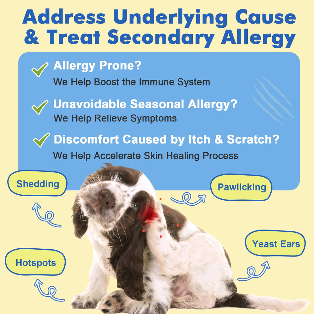 DRFOSTER Dog Allergy Relief Chews immune-barrier focus shows skin health support