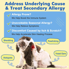 DRFOSTER Dog Allergy Relief Chews immune-barrier focus shows skin health support