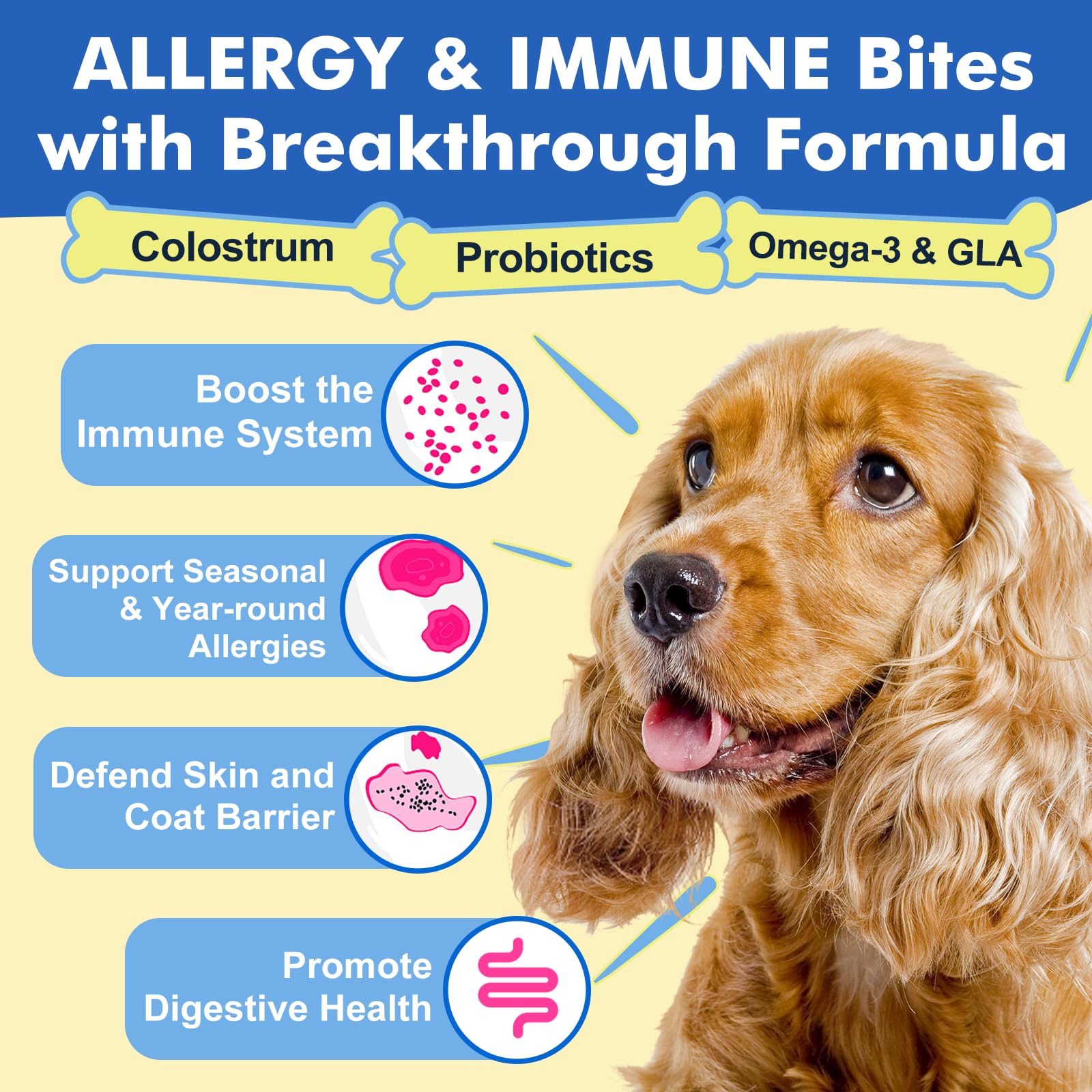 DRFOSTER Dog Allergy Relief Chews ingredients chart emphasizes colostrum, probiotics, omega benefits