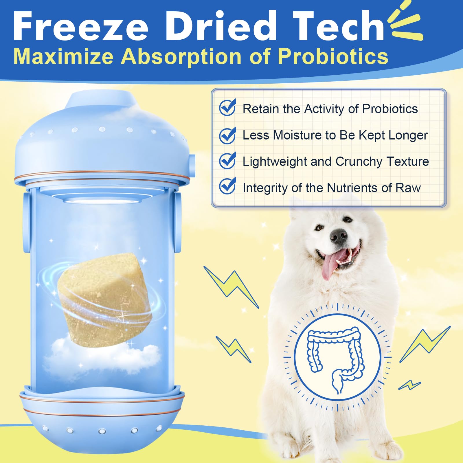 DRFOSTER Dog Allergy Relief Chews omega-3-6 glow coat image suggests coat moisturization