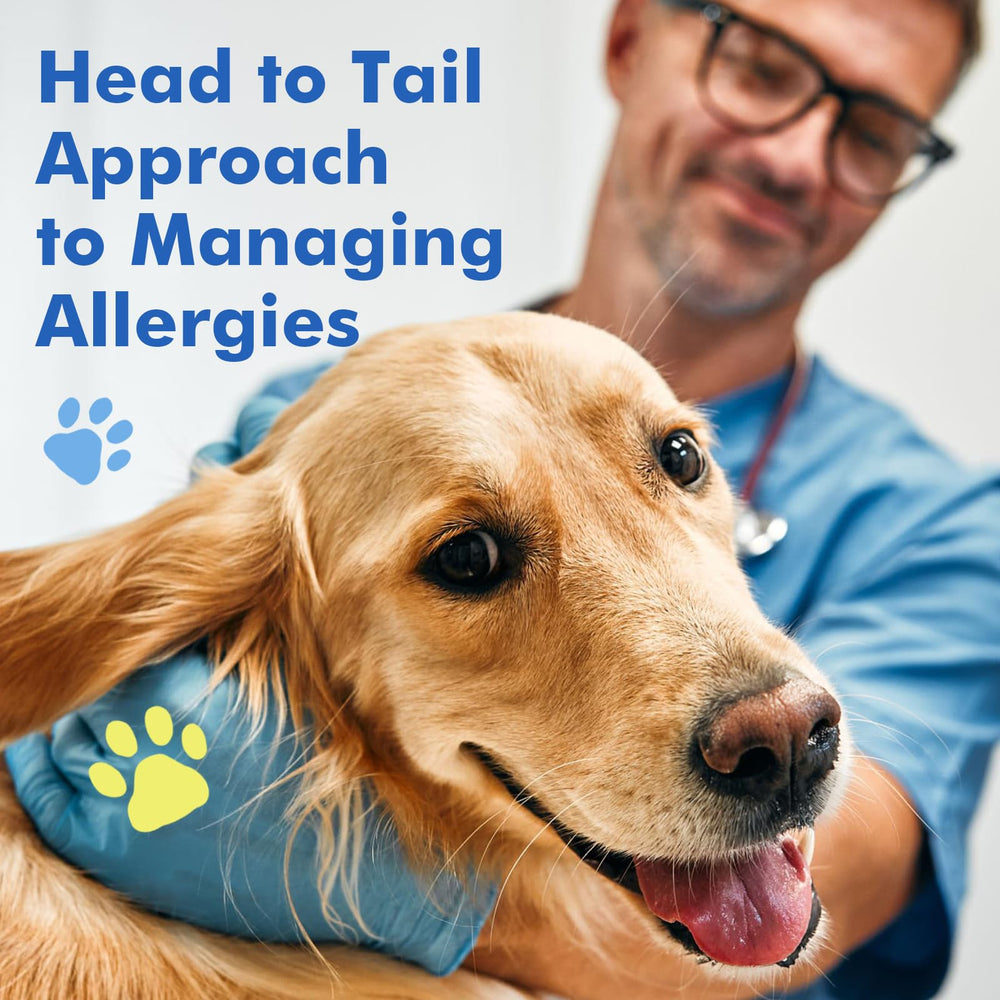 DRFOSTER Dog Allergy Relief Chews owner-dog feeding scene demonstrates simple daily use