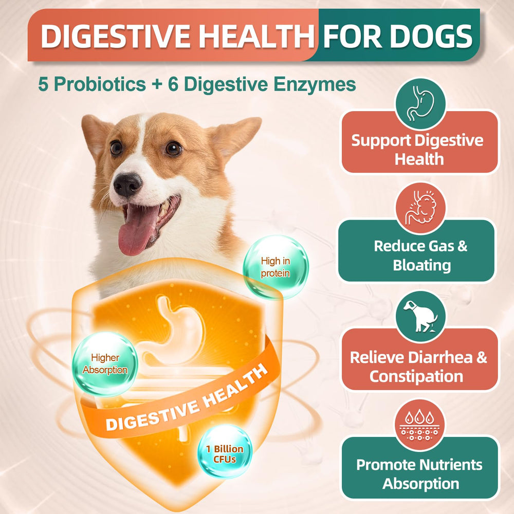 DRFOSTER dog multivitamin bites digestive enzymes aid absorption