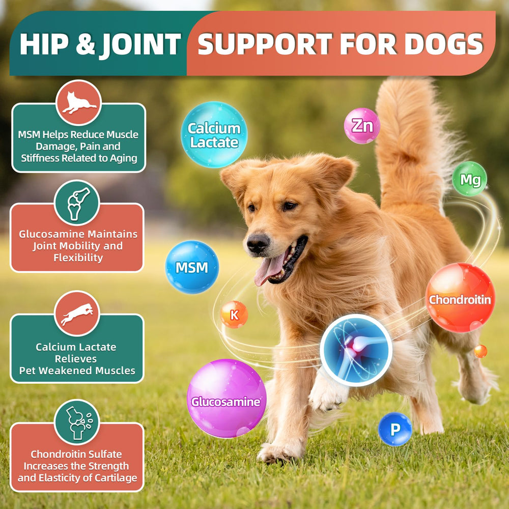 DRFOSTER dog multivitamin bites probiotics 1B CFU supports gut balance