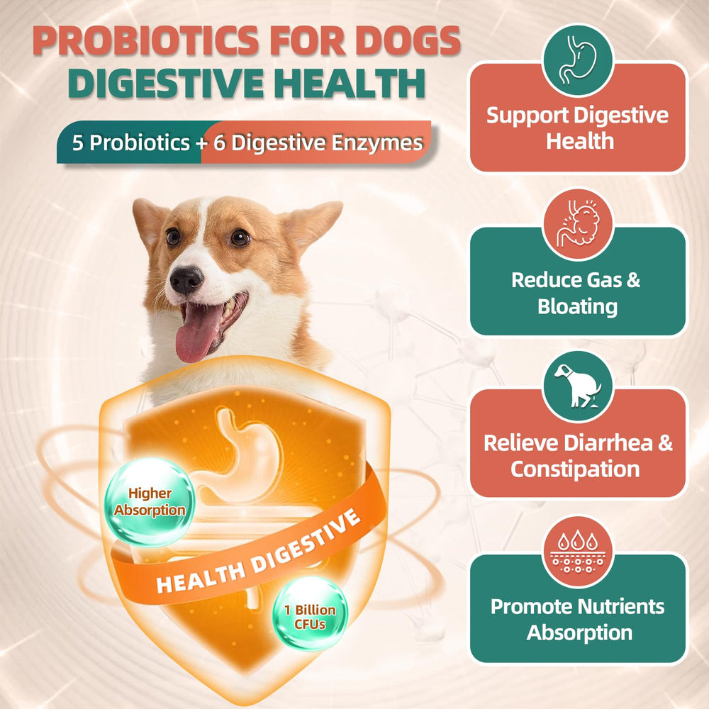 DRFOSTER dog multivitamin glucosamine joint-support chews aid mobility