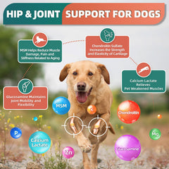 DRFOSTER dog multivitamin probiotics-digestive-enzymes supports gut balance