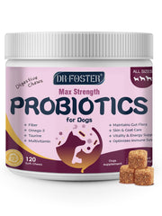 DRFOSTER dog probiotics bottle closeup highlights gut support and digestive health benefits.