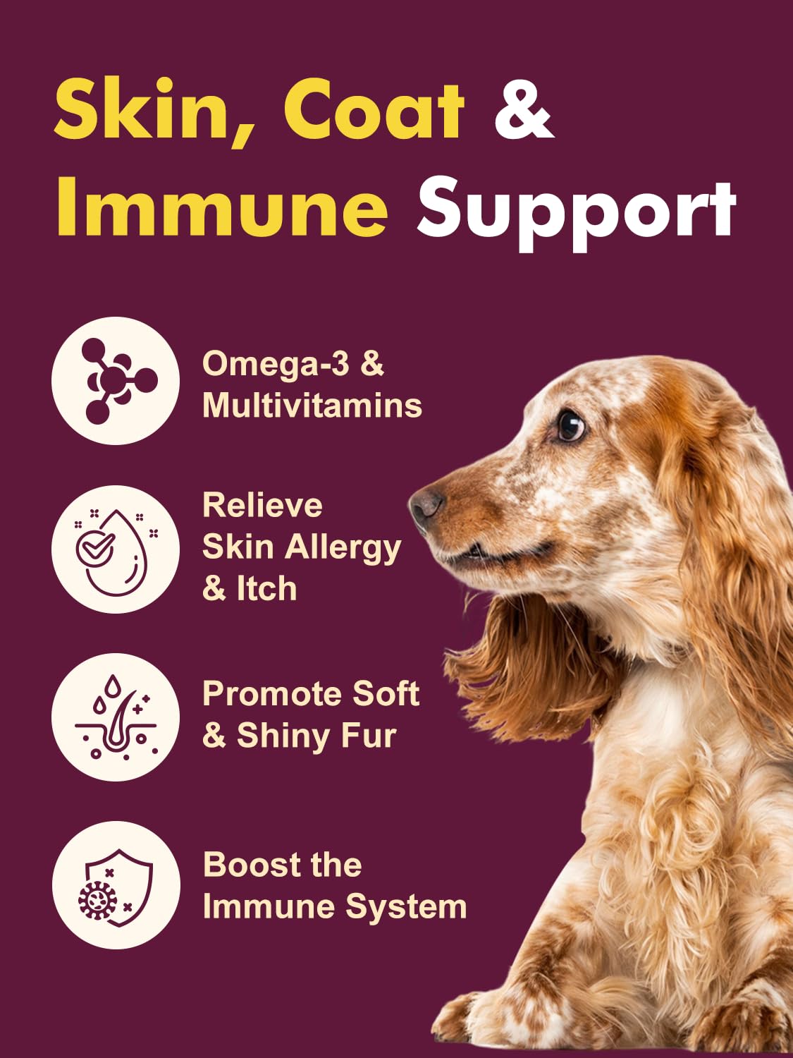 DRFOSTER dog probiotics immunity-energy image emphasizes immune support and energy vitality.