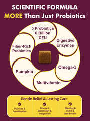 DRFOSTER dog probiotics ingredients pumpkin highlights natural prebiotics for digestion support.