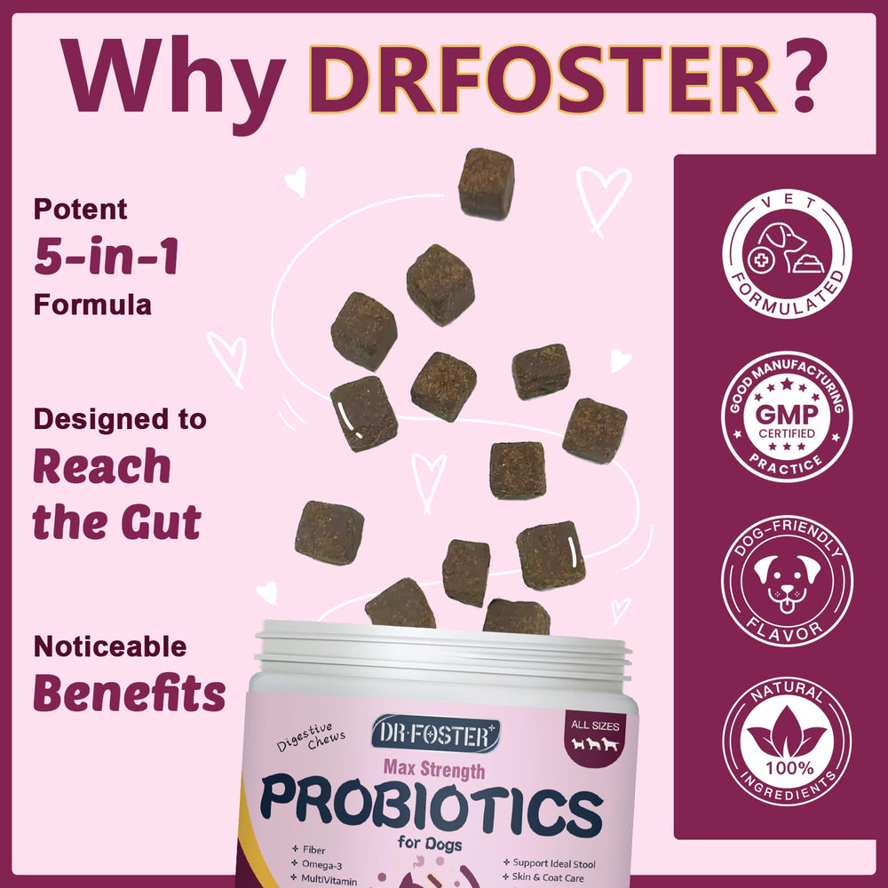 DRFOSTER dog probiotic chews in chicken flavor for easy dosing.