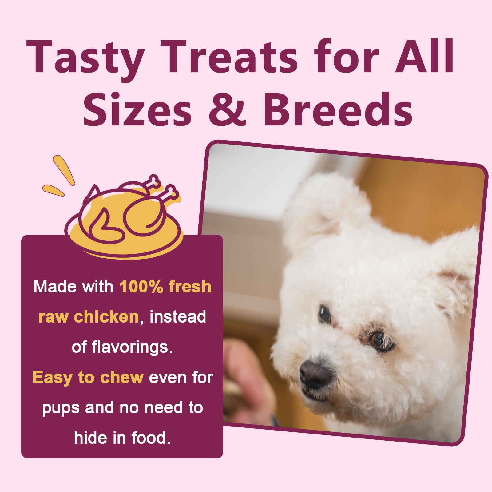 DRFOSTER real chicken ingredients in probiotic formula with no artificial additives.