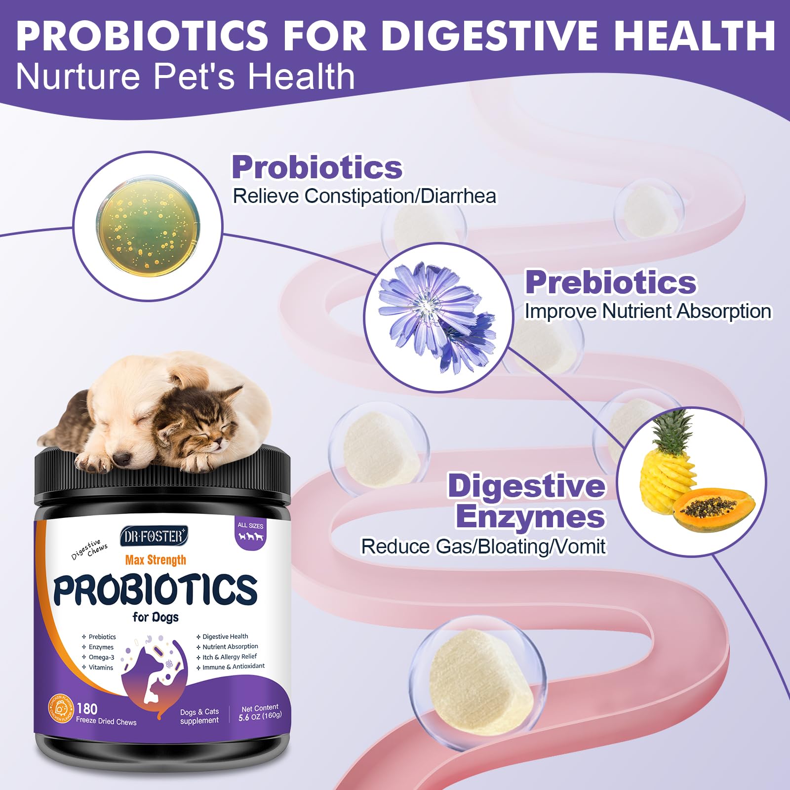 DRFOSTER Probiotics for Dogs chicken-flavored chew shown for tasty gut-friendly snack