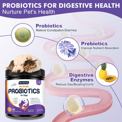 DRFOSTER Probiotics for Dogs chicken-flavored chew shown for tasty gut-friendly snack