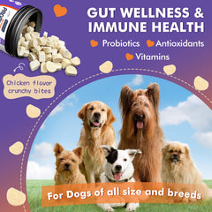 DRFOSTER Probiotics for Dogs with digestive enzymes supporting nutrient absorption