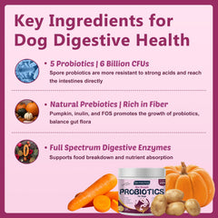 DRFOSTER probiotics ingredients include prebiotics and pumpkin for gut health.